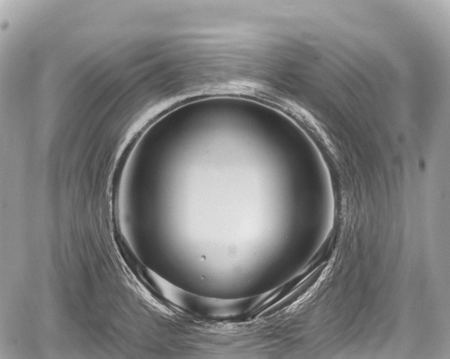 X0000059041184200510101002