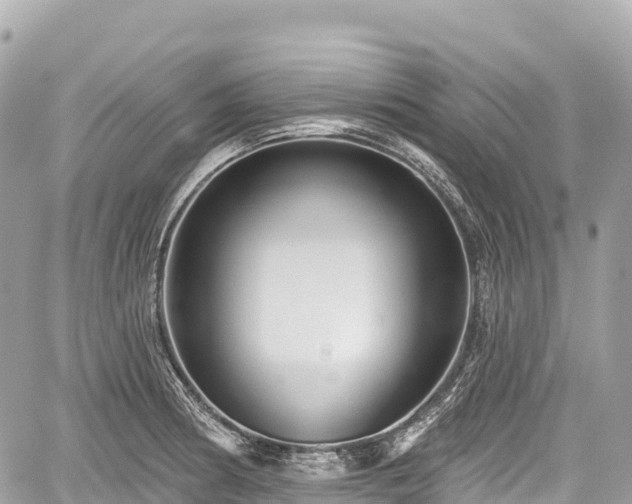 X0000059041186200510101002