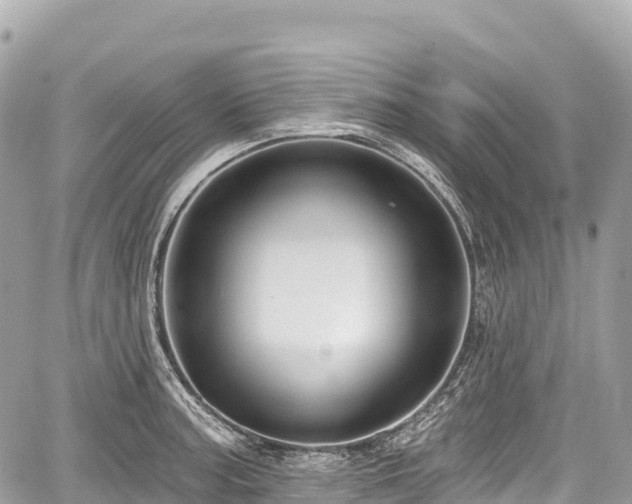 X0000059041187200510101002