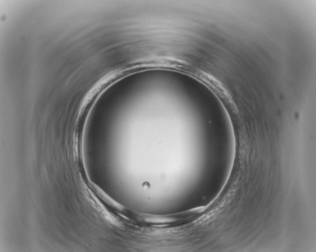 X0000059041188200510101002