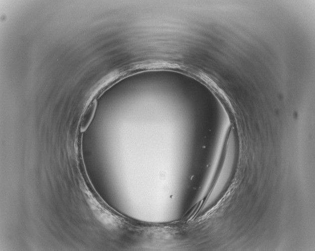 X0000059041189200510101002