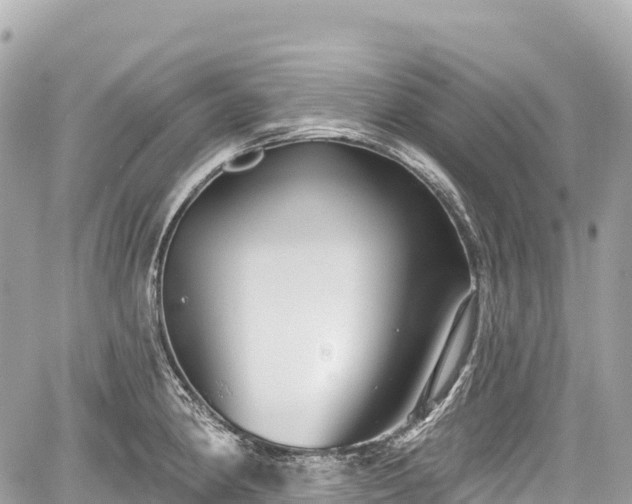 X0000059041190200510101002