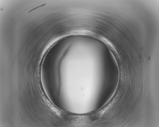 X0000059041192200510101002