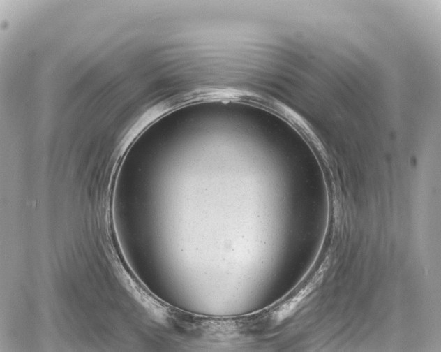 X0000059041194200510101002