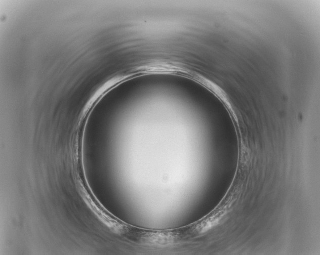 X0000059041195200510101002