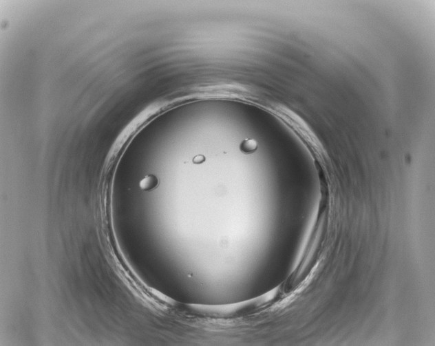 X0000059041196200510101002