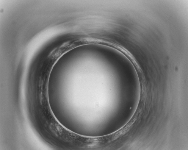 X0000059041199200510101002