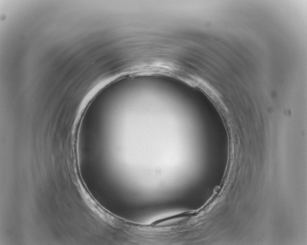 X0000059041200200510101002