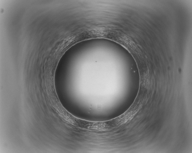 X0000059041201200510101001