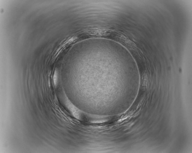 X0000059041202200510101001