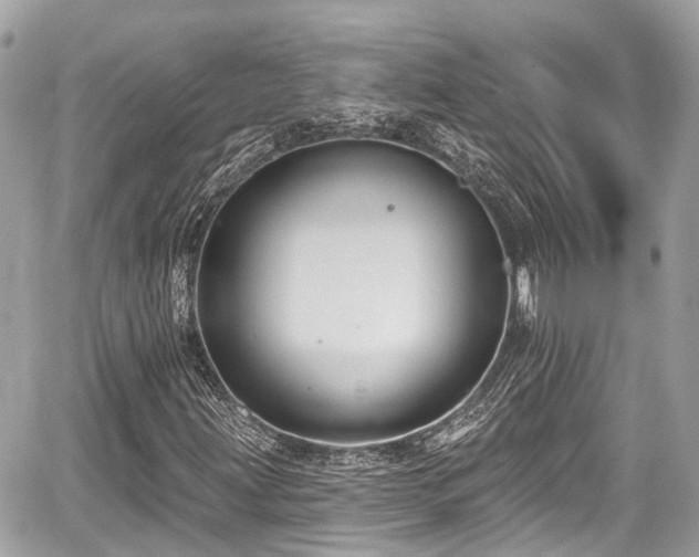 X0000059041203200510101001