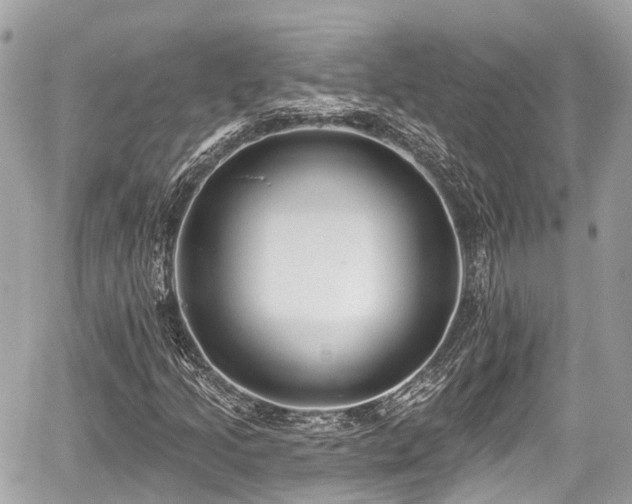 X0000059041205200510101001