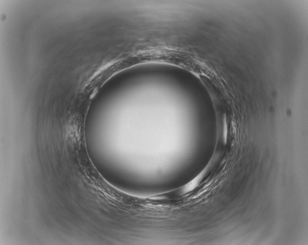 X0000059041206200510101001