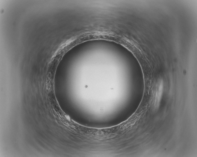 X0000059041207200510101001