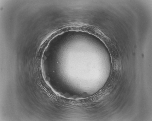 X0000059041208200510101001