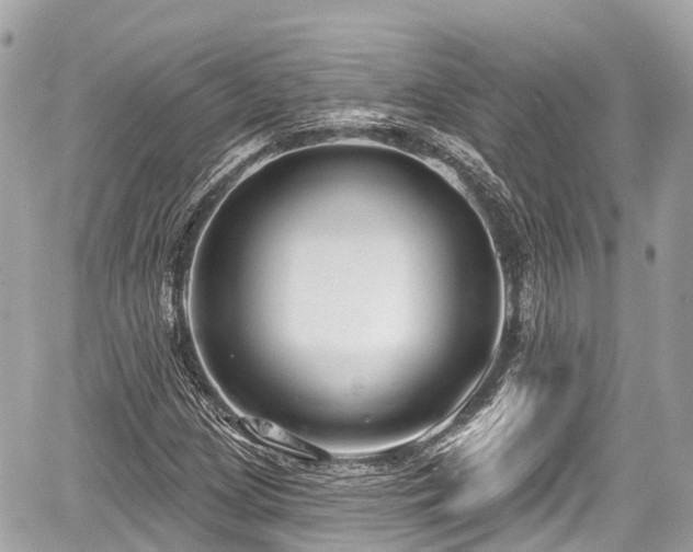 X0000059041209200510101001