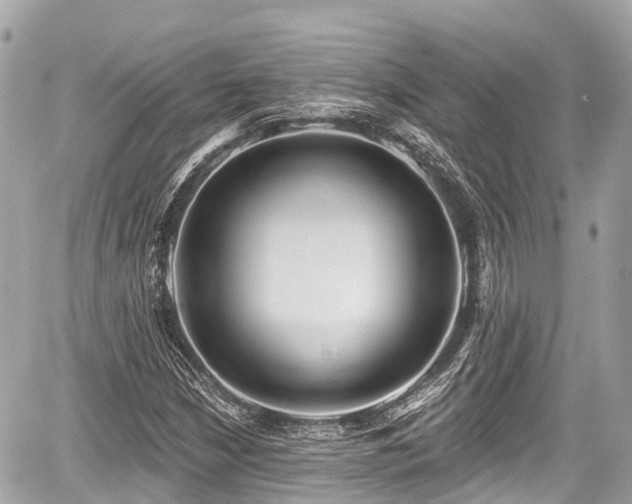 X0000059041210200510101001