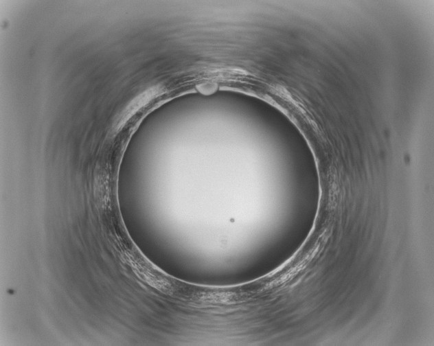 X0000059041211200510101001