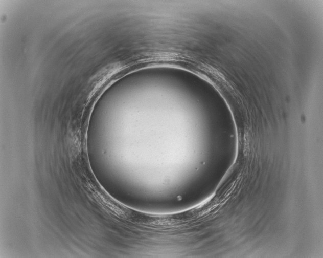 X0000059041212200510101001