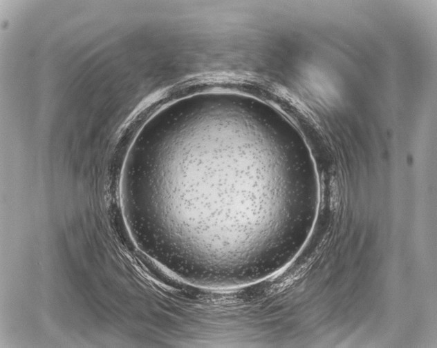 X0000059041213200510101001