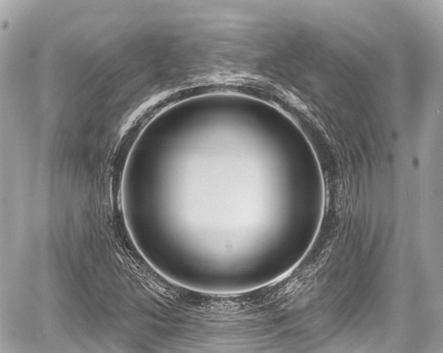 X0000059041214200510101001