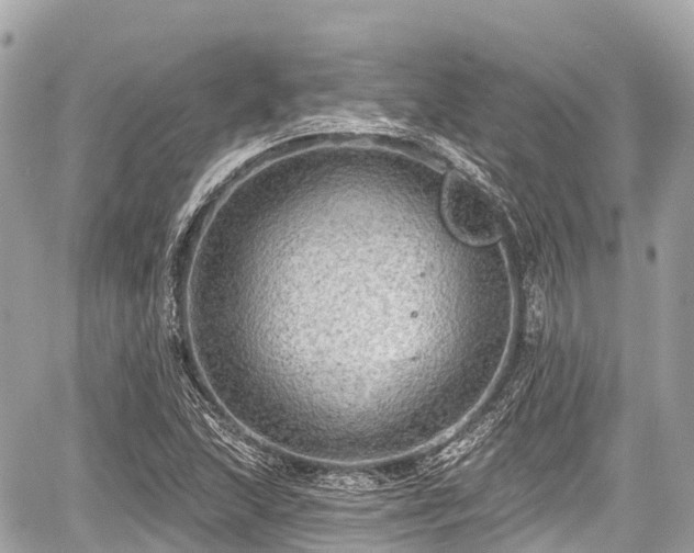 X0000059041215200510101001