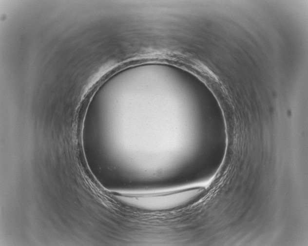 X0000059041216200510101001