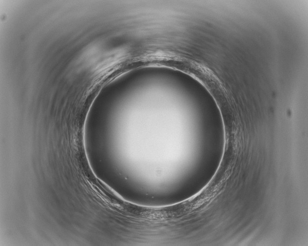 X0000059041217200510101001