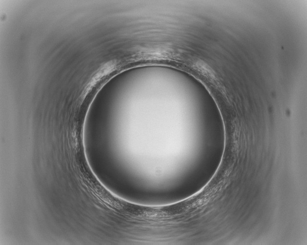 X0000059041218200510101001