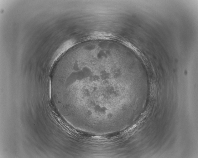 X0000059041219200510101001