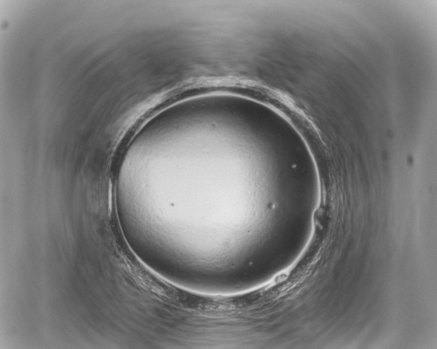 X0000059041221200510101001