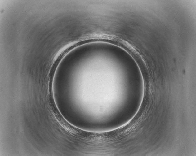 X0000059041222200510101001