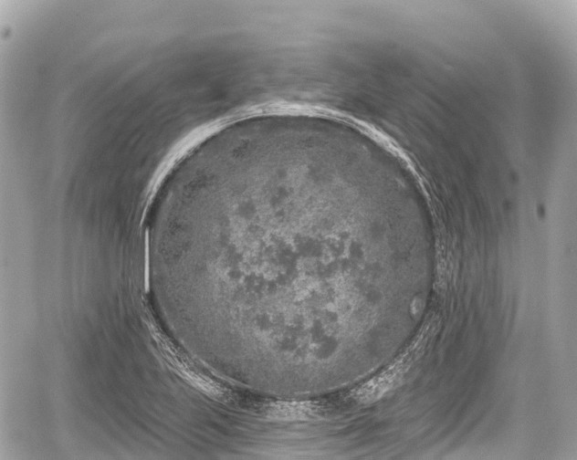 X0000059041223200510101001