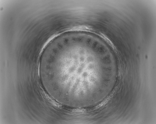 X0000059041224200510101001