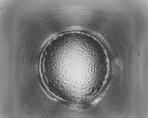 X0000059041225200510101001