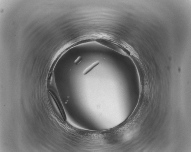 X0000059041226200510101001