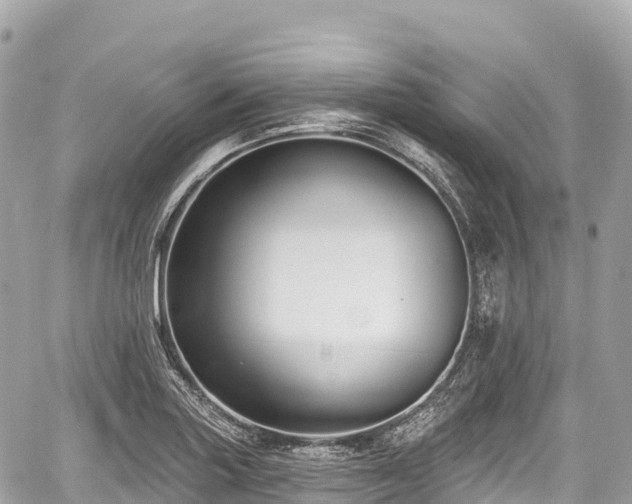 X0000059041227200510101001