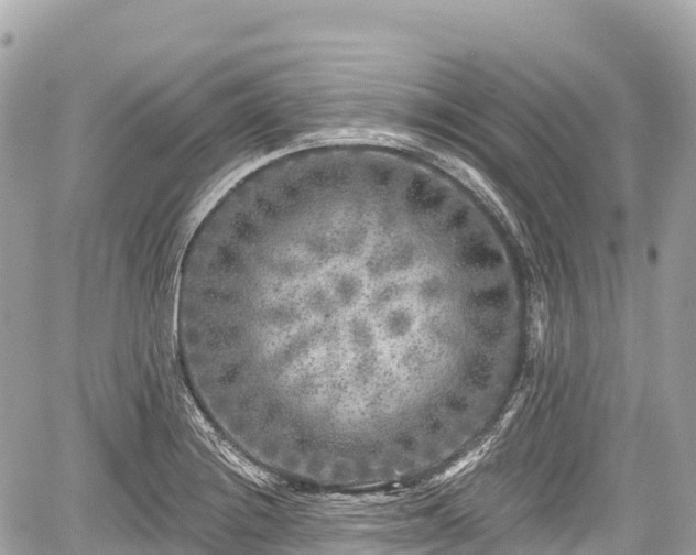 X0000059041228200510101001