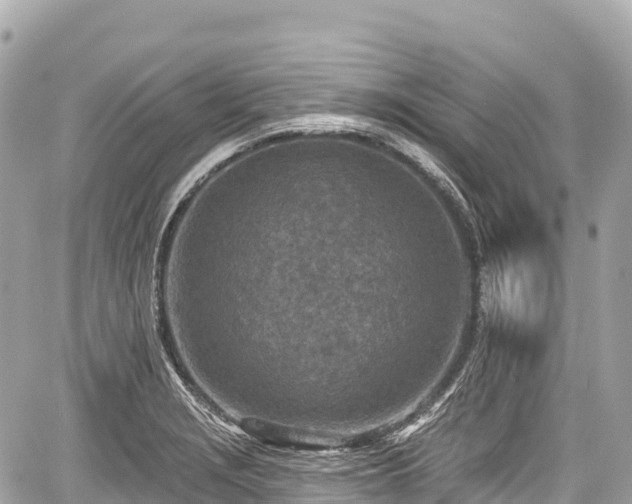 X0000059041229200510101001