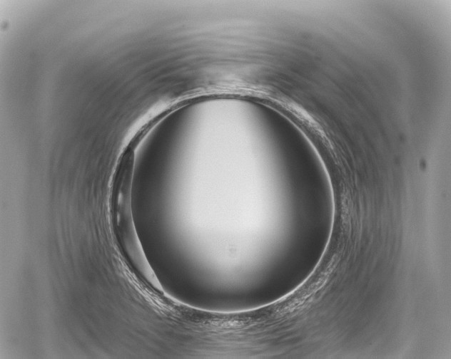 X0000059041230200510101001