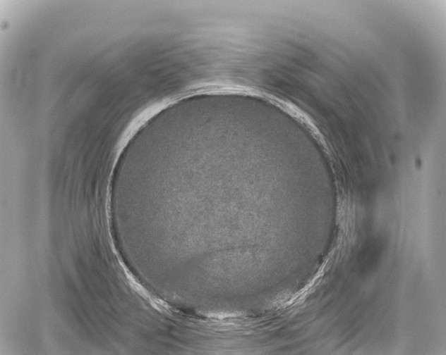 X0000059041231200510101001