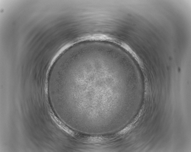 X0000059041232200510101001