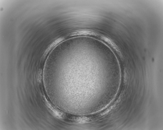 X0000059041233200510101001