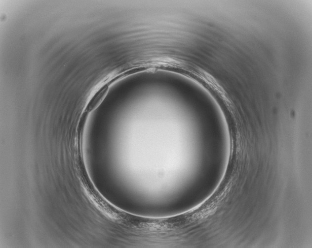 X0000059041234200510101001