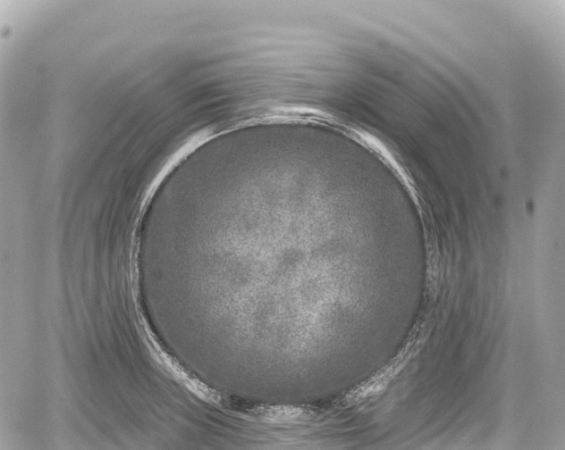 X0000059041235200510101001