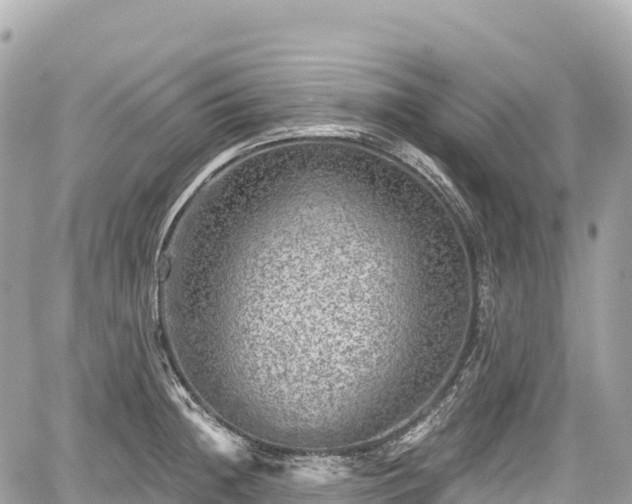 X0000059041236200510101001