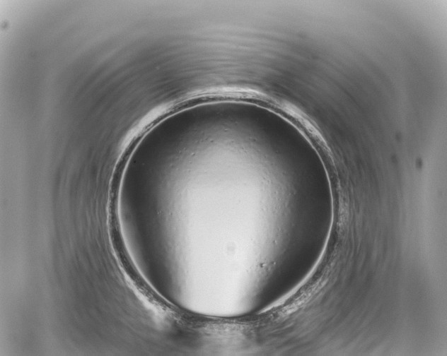 X0000059041237200510101001