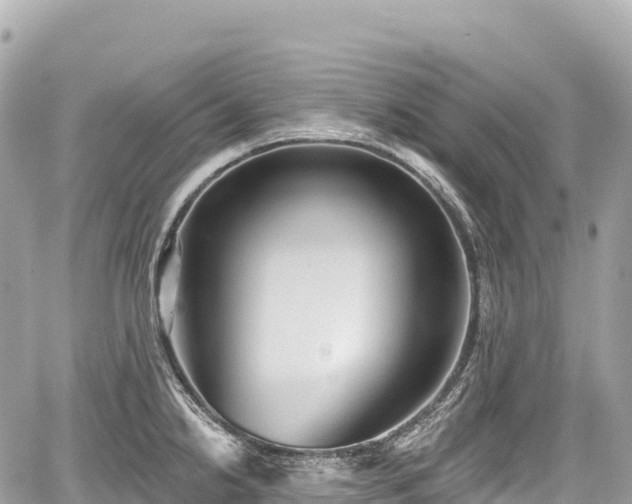 X0000059041238200510101001