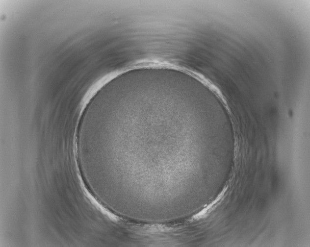 X0000059041239200510101001