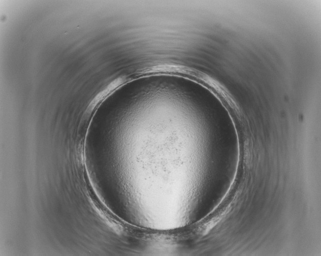 X0000059041241200510101002